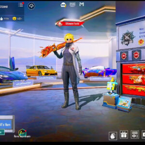 "NEAR-ULTIMATE PUBG ACCOUNT | 10X X-SUITS | 18M POPULARITY | 144 GUN LABS | S8 Single Digit Conqueror"